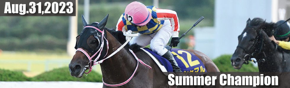 🏇 사가 경마장 (사가케이바조) 이미지 10